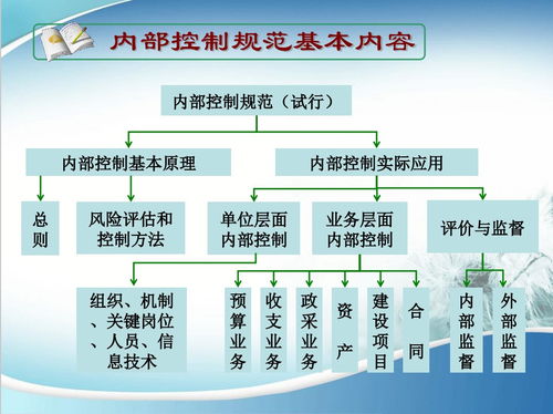 天津商務(wù)區(qū)新公司內(nèi)部控制體系合安專業(yè)財(cái)稅企業(yè)