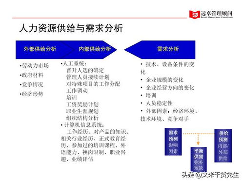 知名咨詢公司客戶案例 100頁人力資源管理的全面提升,系統(tǒng)完整